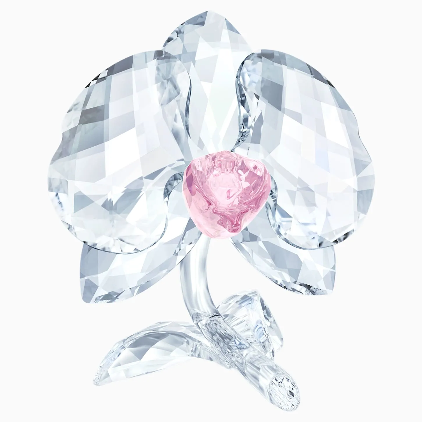 Swarovski Crystal Flower Figurine ORCHID -5301562