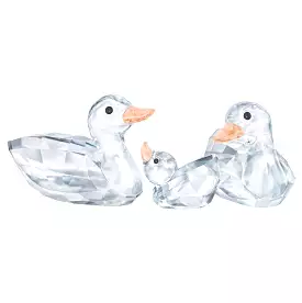 SWAROVSKI Ducks